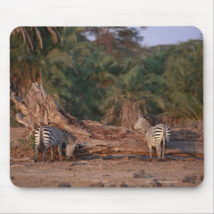 Grant Zebra 5 Mouse Mat