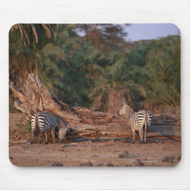 Grant Zebra 5 Mouse Mat (Front)