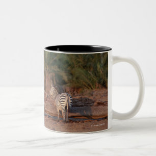 Grant Zebra 5 Two-Tone Coffee Mug