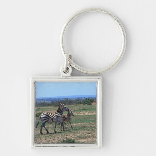 Grant Zebra Key Ring (Front)