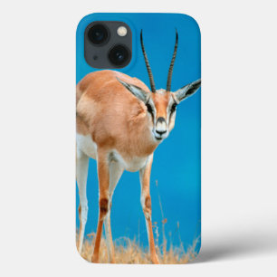 Grant's Gazelle (Gazella Granti) Ewe Portrait iPhone 13 Case