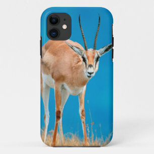 Grant's Gazelle (Gazella Granti) Ewe Portrait iPhone 11 Case