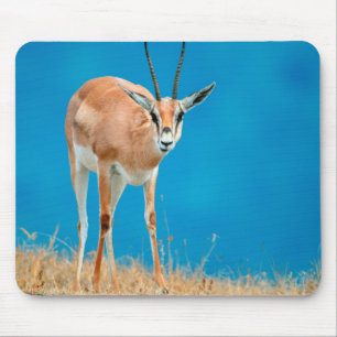 Grant's Gazelle (Gazella Granti) Ewe Portrait Mouse Mat