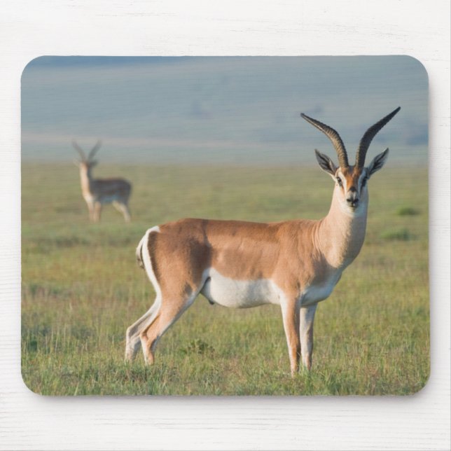 Grant's Gazelle, Ngorongoro Crater, Ngorongoro Mouse Mat (Front)