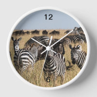 Grant's Zebra