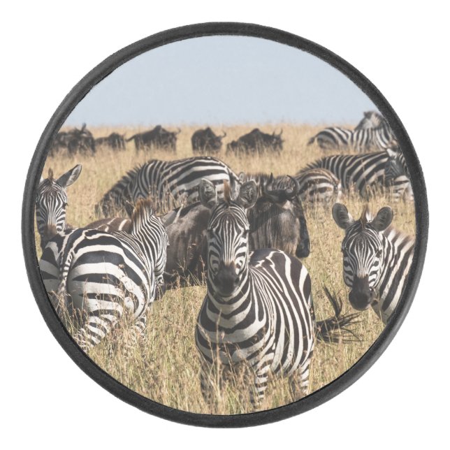 Grant's Zebra Hockey Puck (Front)