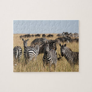 Grant's Zebra Jigsaw Puzzle