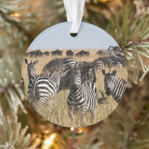 Grant's Zebra Ornament