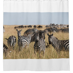 Grant's Zebra Shower Curtain