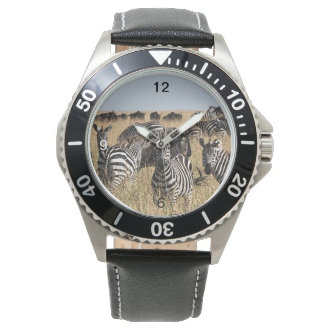 Grant's Zebra Watch (Front)