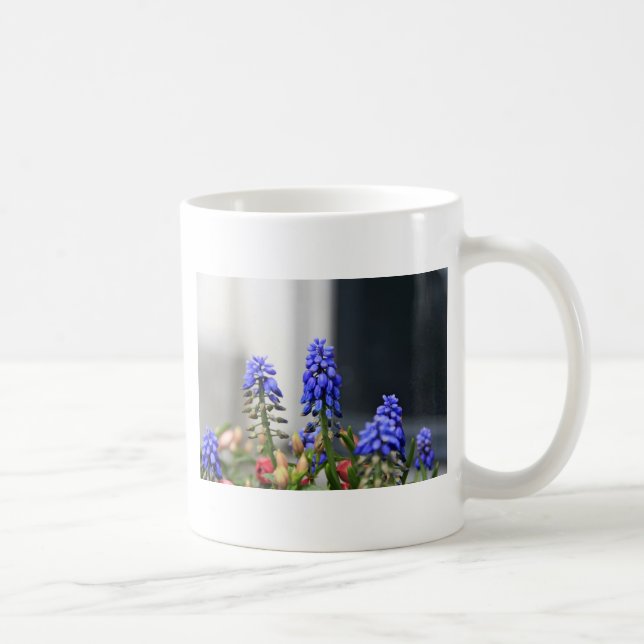grape hyacinth coffee mug (Right)