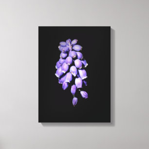 Grape Hyacinth Floral  Canvas Print