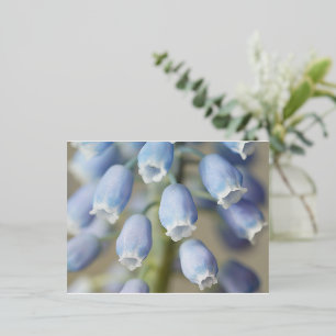Grape Hyacinth Flowers Foil Holiday Postcard