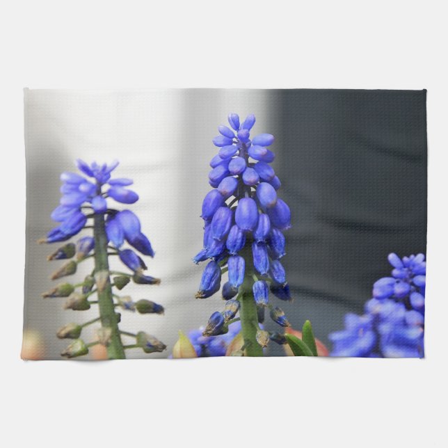 grape hyacinth tea towel (Horizontal)