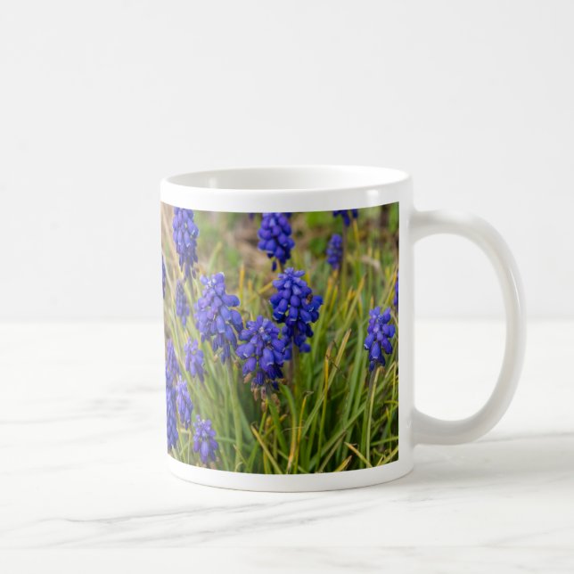 Grape Hyacinths Family Coffee Mug (Right)