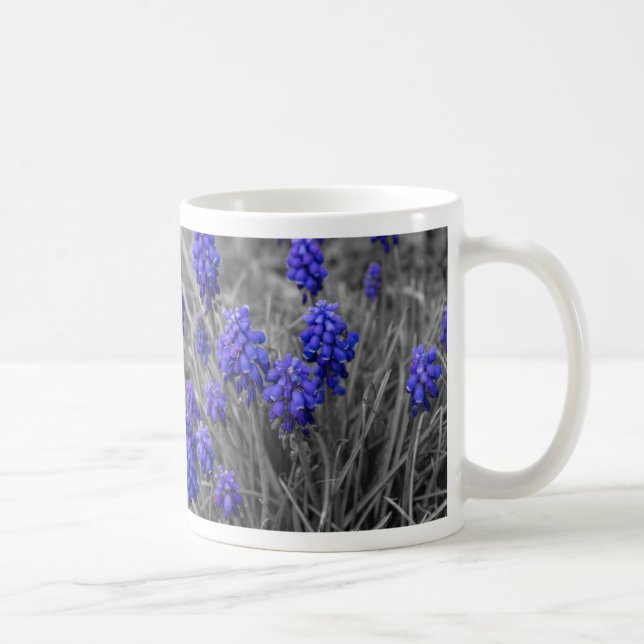 Grape Hyacinths Family Select Coffee Mug (Right)