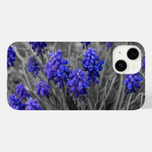 Grape Hyacinths Family Select iPhone Case