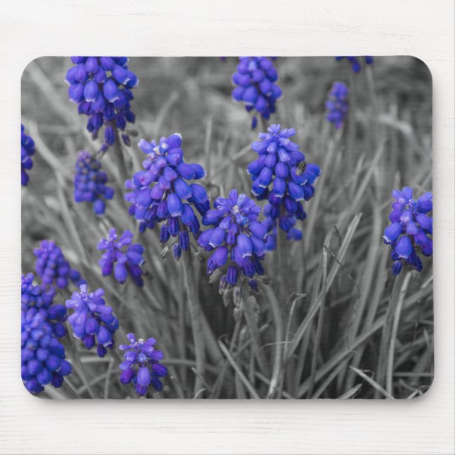 Grape Hyacinths Family Select Mouse Mat (Front)