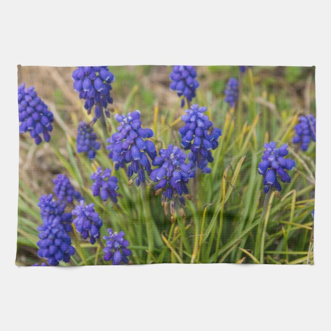 Grape Hyacinths Family Tea Towel (Horizontal)