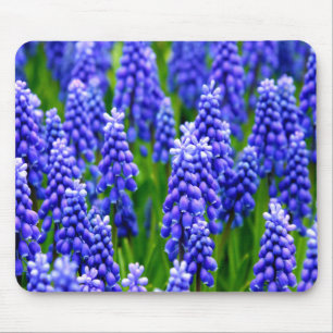 Grape Hyacinths Mouse Mat