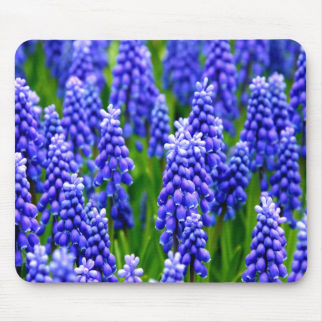 Grape Hyacinths Mouse Mat (Front)