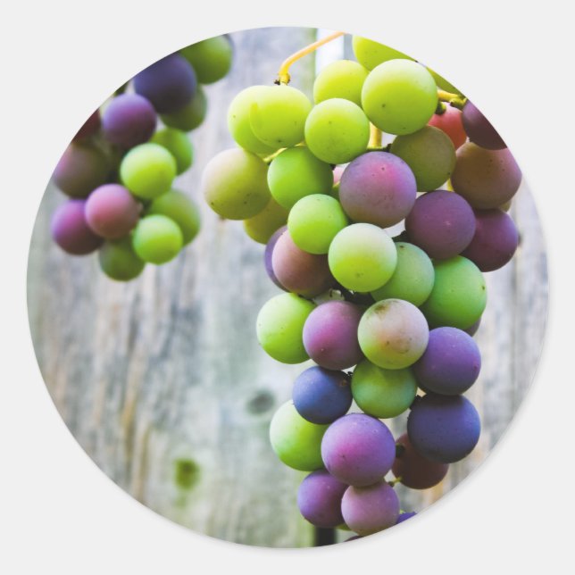 grape jelly canning label (Front)