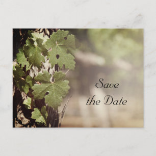 Grape Leaves Vineyard Wedding Save the Date Announcement Postcard