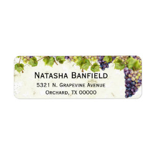Grape Mediterranean Vineyard Garden
