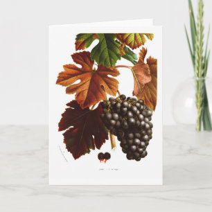 Grape vine card
