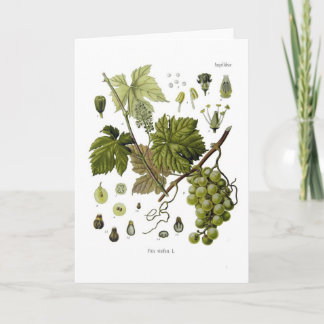 Grape vine card