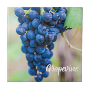 Grape Vine for wine and grapevine winegrower gift Tile