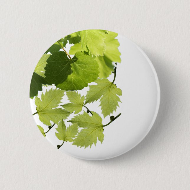Grape Vine Green Leaves 6 Cm Round Badge (Front)