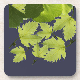 Grape Vine Green Leaves Coaster
