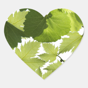 Grape Vine Green Leaves Heart Sticker
