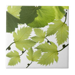 Grape Vine Green Leaves Tile