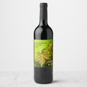Grape vine leaf green natural light photography wine label