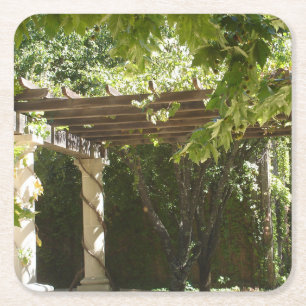 Grape Vine Napa Square Paper Coaster