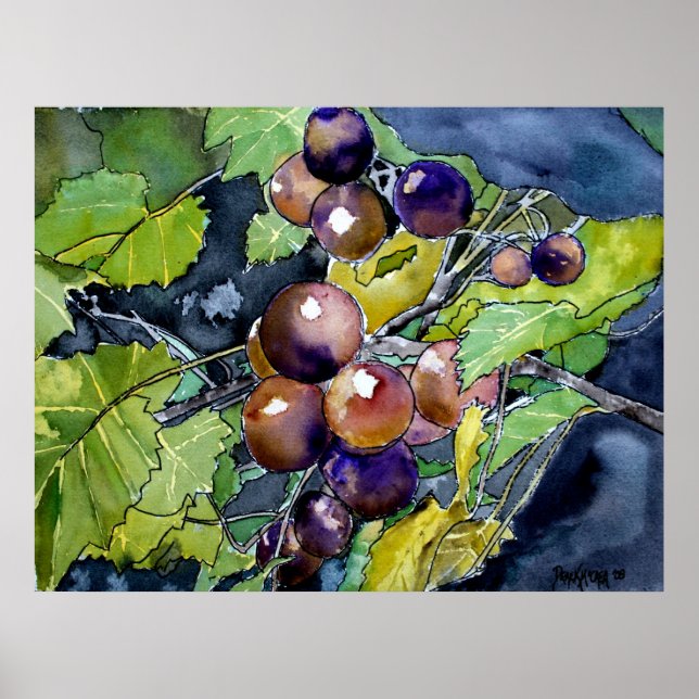 grape vine still life fruit art painting poster (Front)