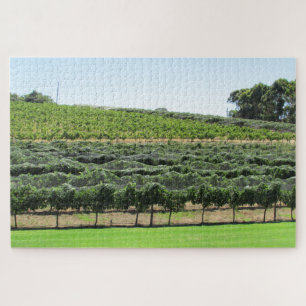 grape vines jigsaw puzzle