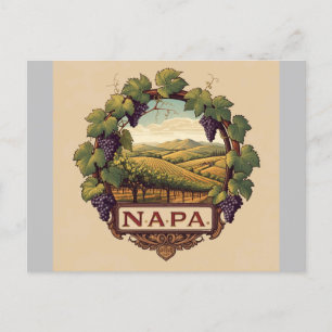 Grape Vineyard Napa Valley Souvenir  Postcard