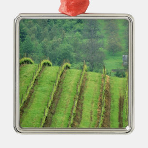 Grape Vineyards near Newberg Oregon Metal Tree Decoration