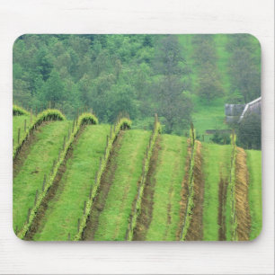 Grape Vineyards near Newberg Oregon Mouse Mat