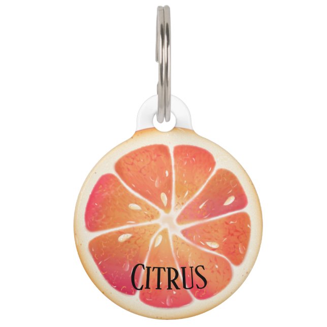 Grapefruit Citrus Fruit Personalised Pet Tag (Front)