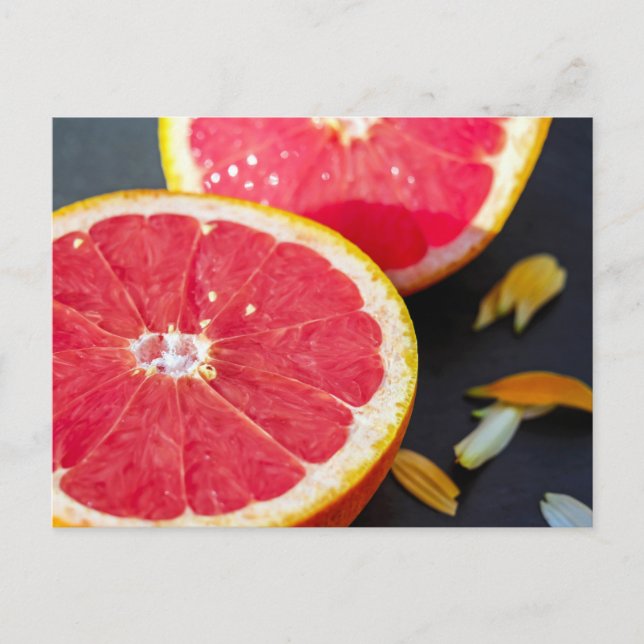 Grapefruit Fruit Photography Postcard (Front)