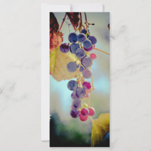 Grapes