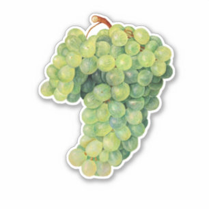 Grapes, bunch of grapes