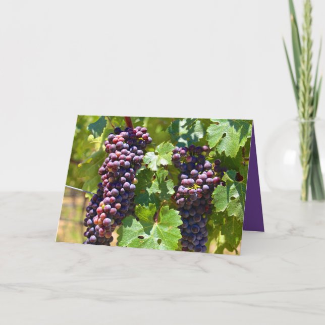 Grapes Card (Front)