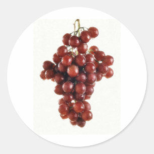 GRAPES CLASSIC ROUND STICKER