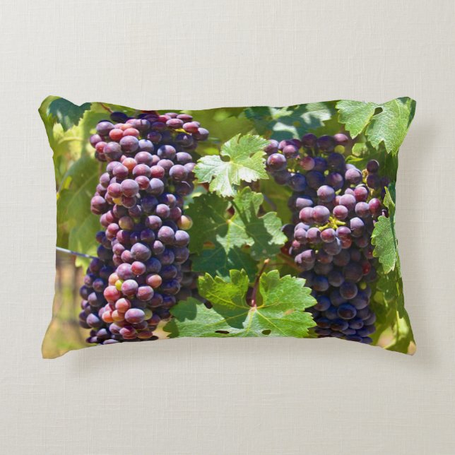Grapes Decorative Cushion (Front)