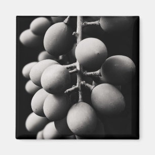 grapes for a sour day magnet